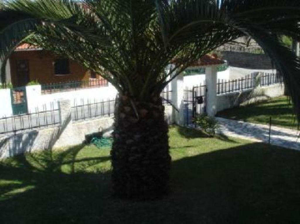 Vivenda Atlantico Hotel Vila Praia de Âncora Exterior photo
